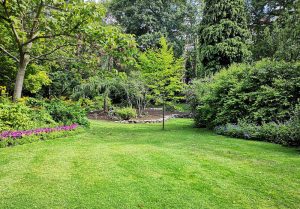 Optimiser l'expérience du jardin à Sainte-Christie-d'Armagnac